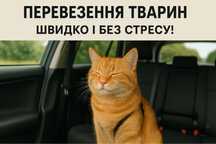 Перевезення тварин  по Україні Перевозка животных