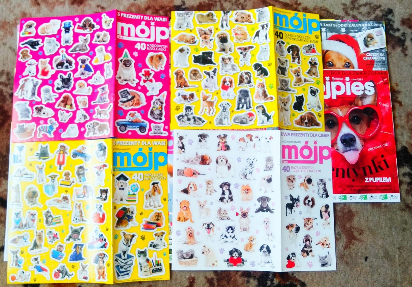 Magazyn gazeta miesięcznik czasopisma MÓJ PIES I KOT naklejki plakaty