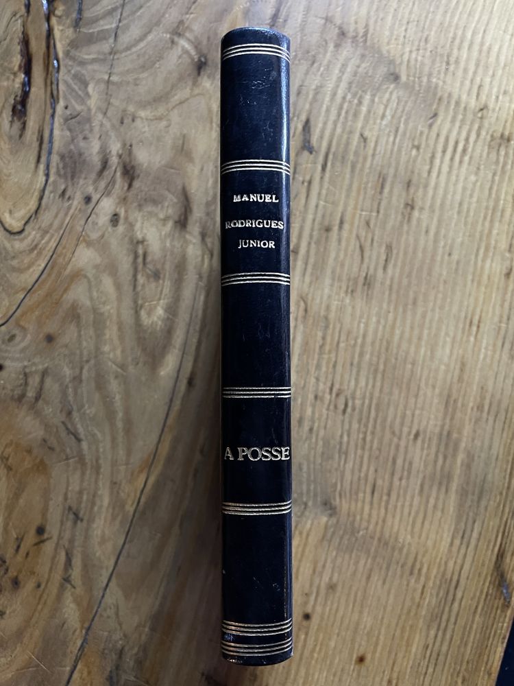 Livro A Pose Estudo de Direito Civil  Manuel Rodrigues Júnior