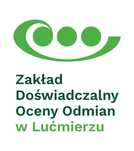 Kwalifikowany materiał siewny C1 jęczmień pszenica pszenżyto żyto
