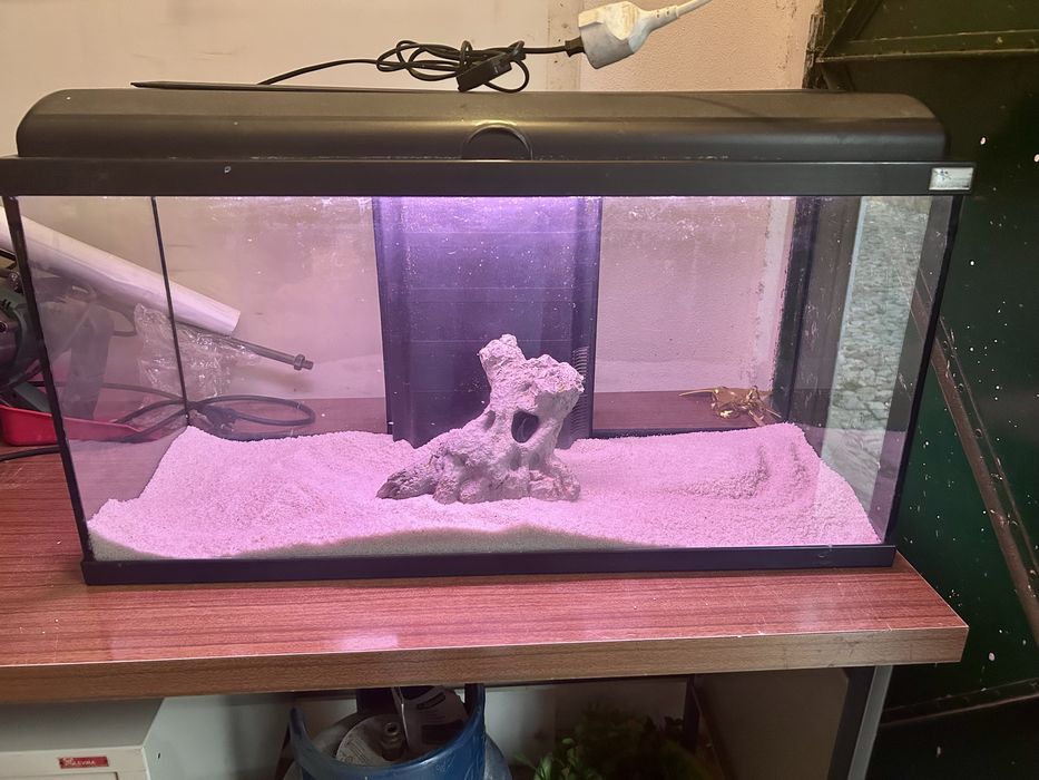 Aquario 100Litros