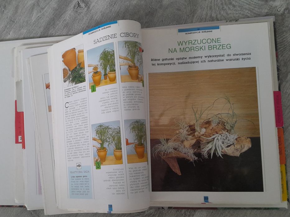 Segregator Magia roślin ,encyklopedia roślin