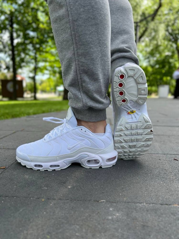 Кроссовки Nike Air Max Plus