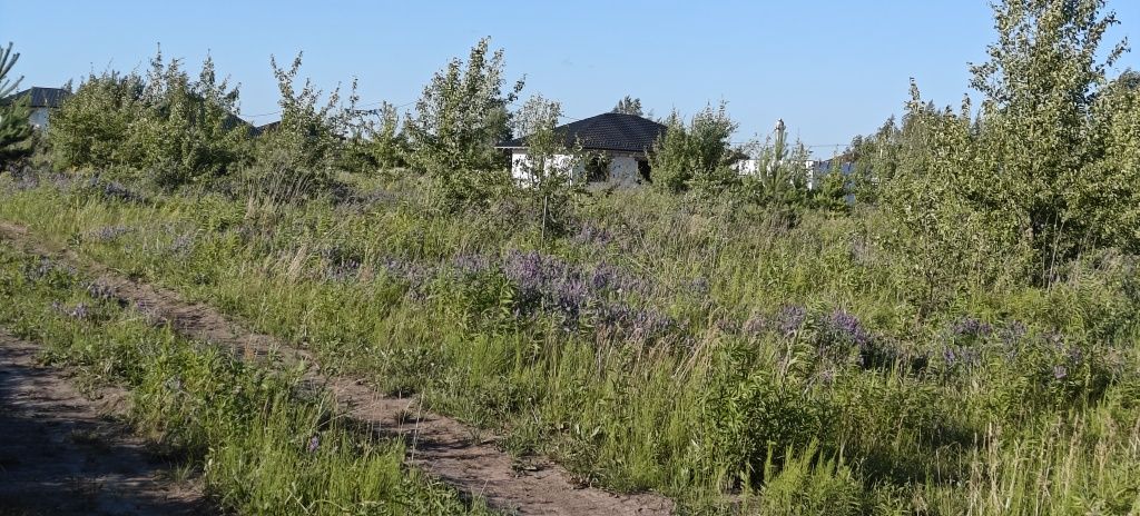 Продам земельну ділянку Зарічани початок