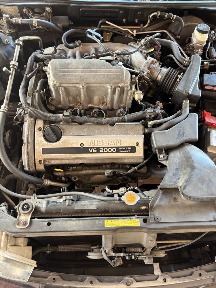 Nissan Maxima QX V6 24v