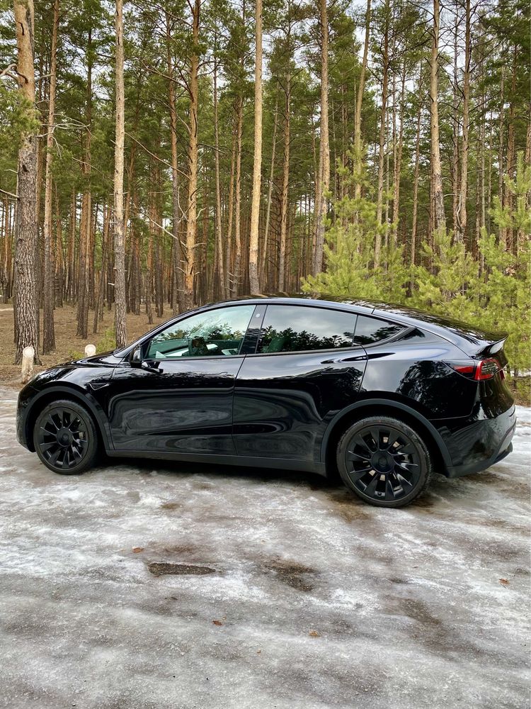 Tesla Model Y 2022 Long Range 82 kWt