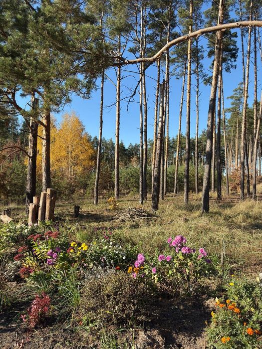 Дуплекс на 3.5сотках в Ірпені, газ, керамоблок.