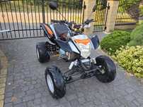 Quad Bashan 250 Manual