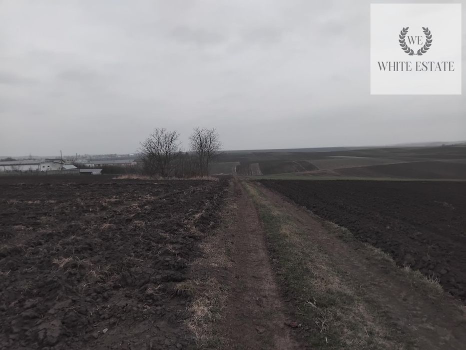 Продаж земельної ділянки с.Плотича