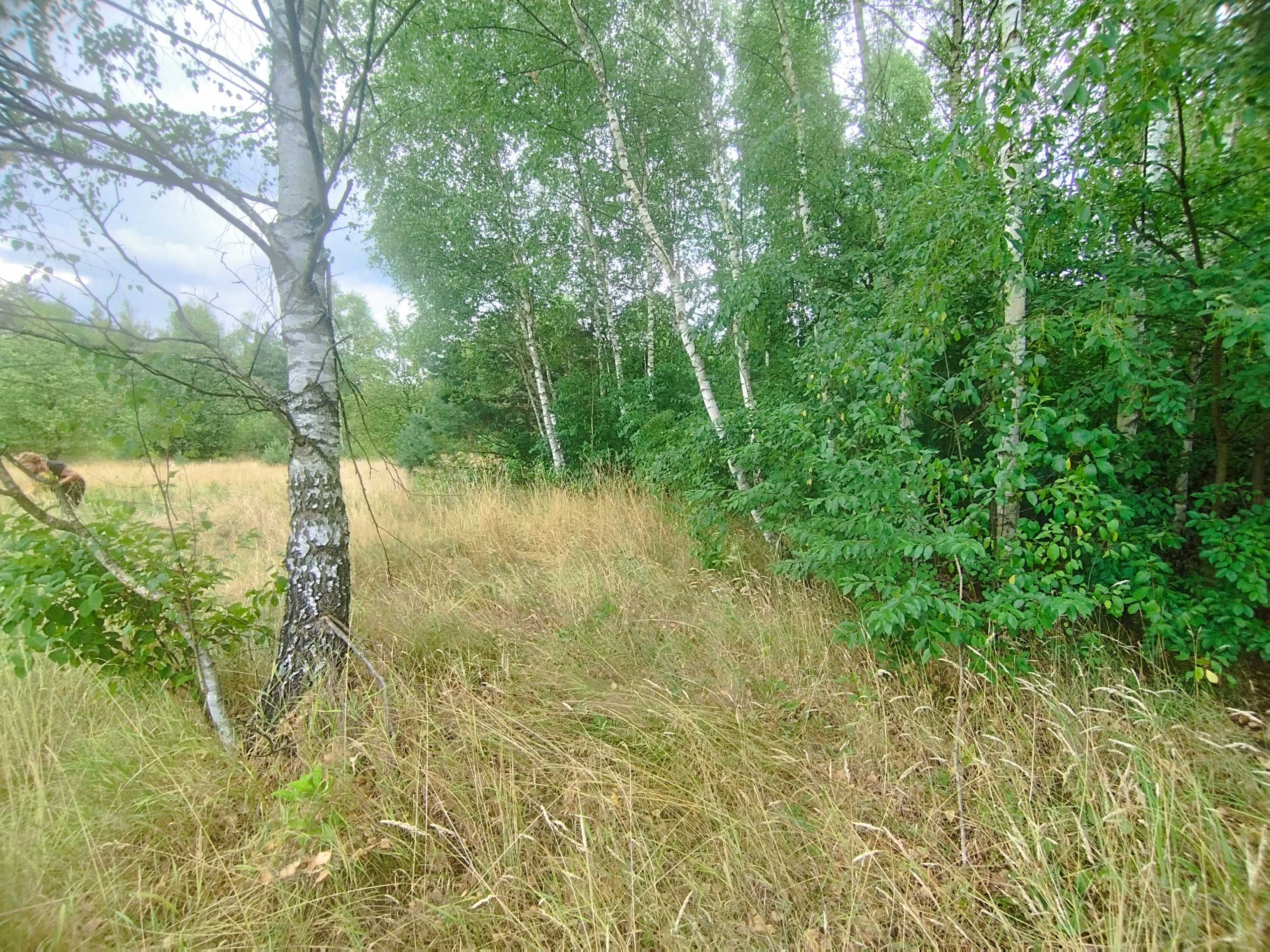 Działka 2700m2 na dom lub letniskowa