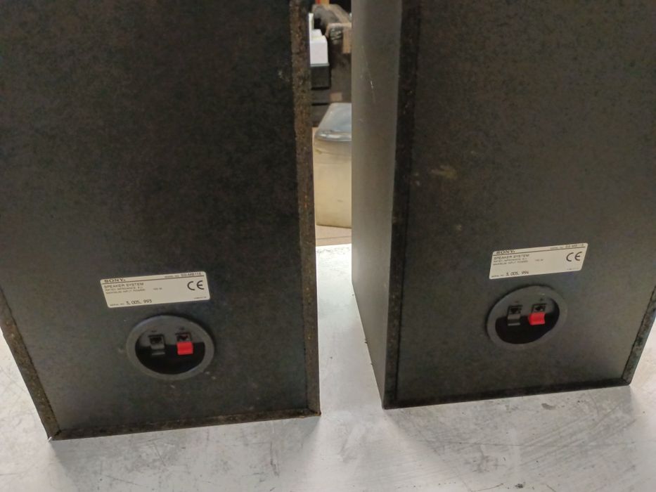 Kolumny, monitory SONY 100 WAT
