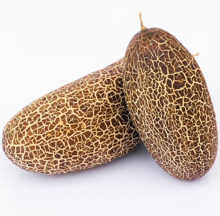 10 Sementes de Pepino Sikkim - Cucumis sikkimensis