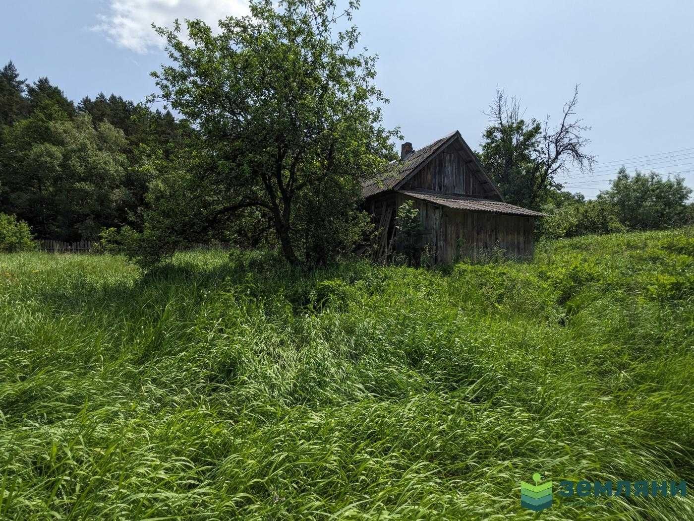 Продається ділянка під будову Рибне (1)