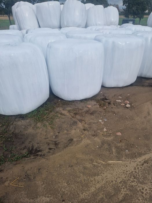 Sprzedam lub zamienię  kiszonkę