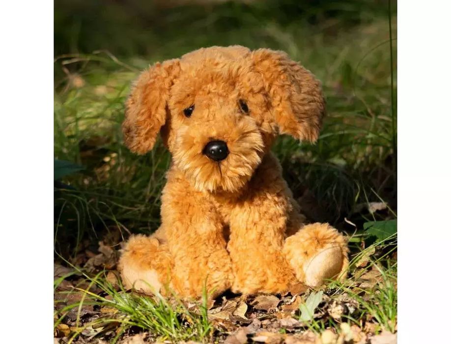 Pies Cockapoo. One for Fun