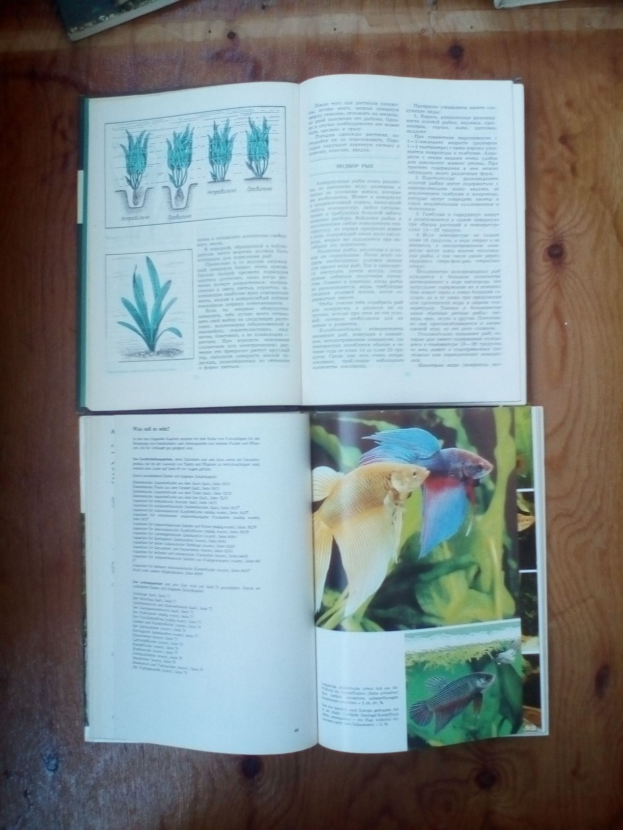Подборка иллюстрированных книг и открыток об аквариумных рыбках