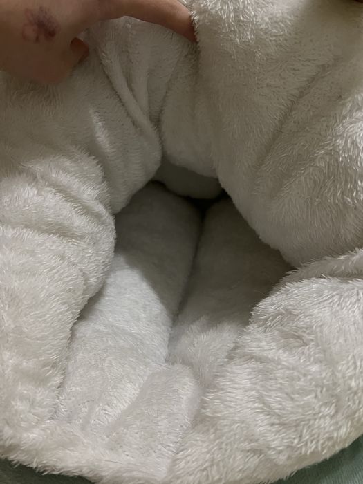 Плюшева лежанка для кошенят