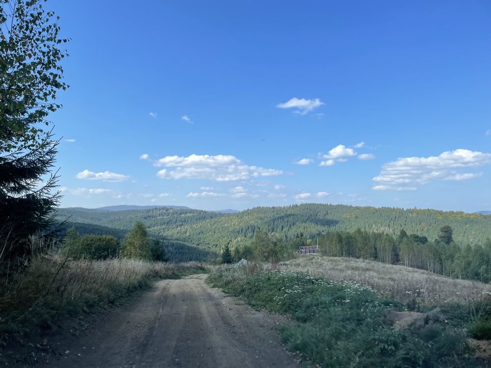 Земля Вишків, Сенечів