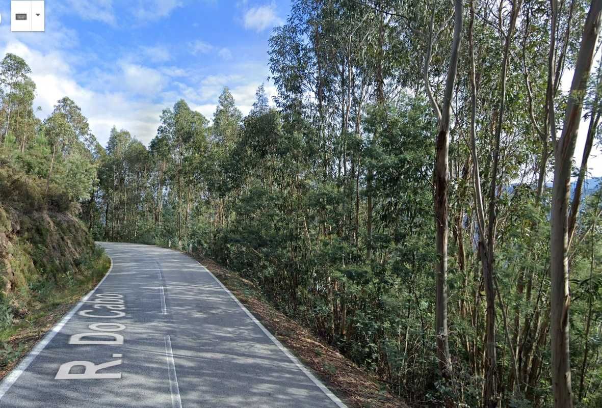 Terreno rústico (1,7 ha) freguesia de Arnóia - Celorico Basto