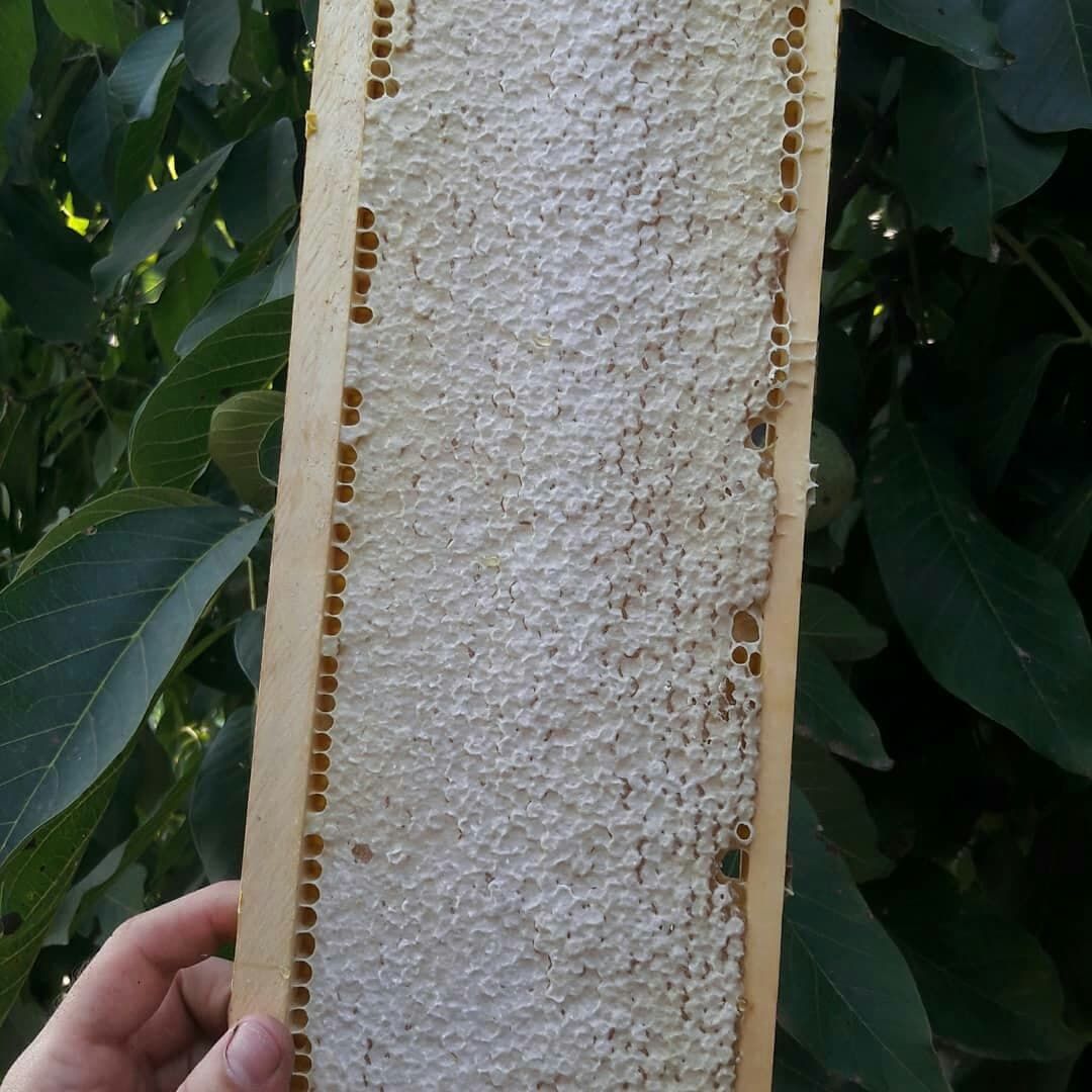 Мёд от пчеловодов