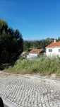 Recolhemos e avaliamos recheios de casa