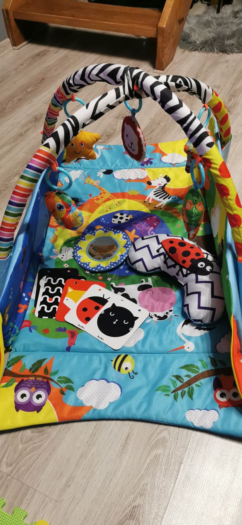 Mata edukacyjna i kojec Lionelo