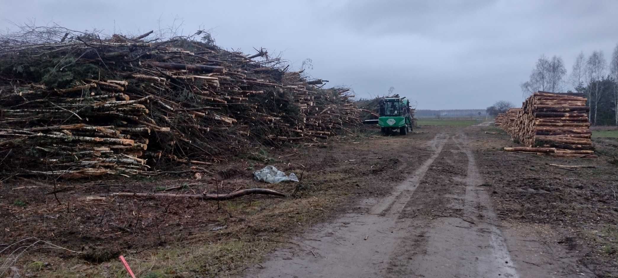 Usługi leśne#biomasa#wycinka lasów#samosiewów#zakrzaczeń