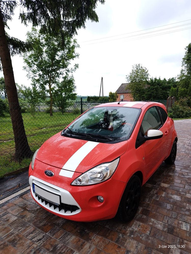 Ford Ka unikatowa wersja Grand Prix