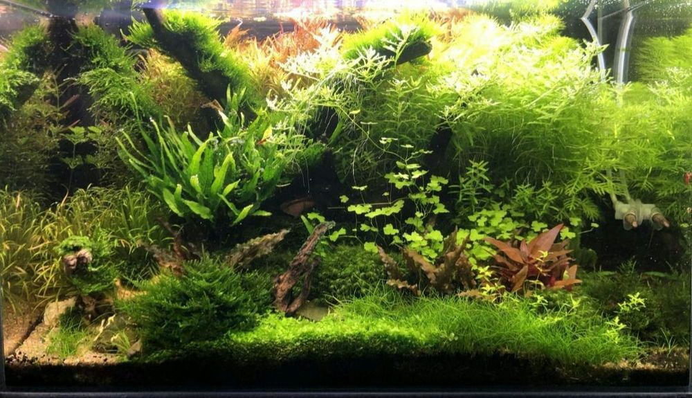 Аквариум на 200 л