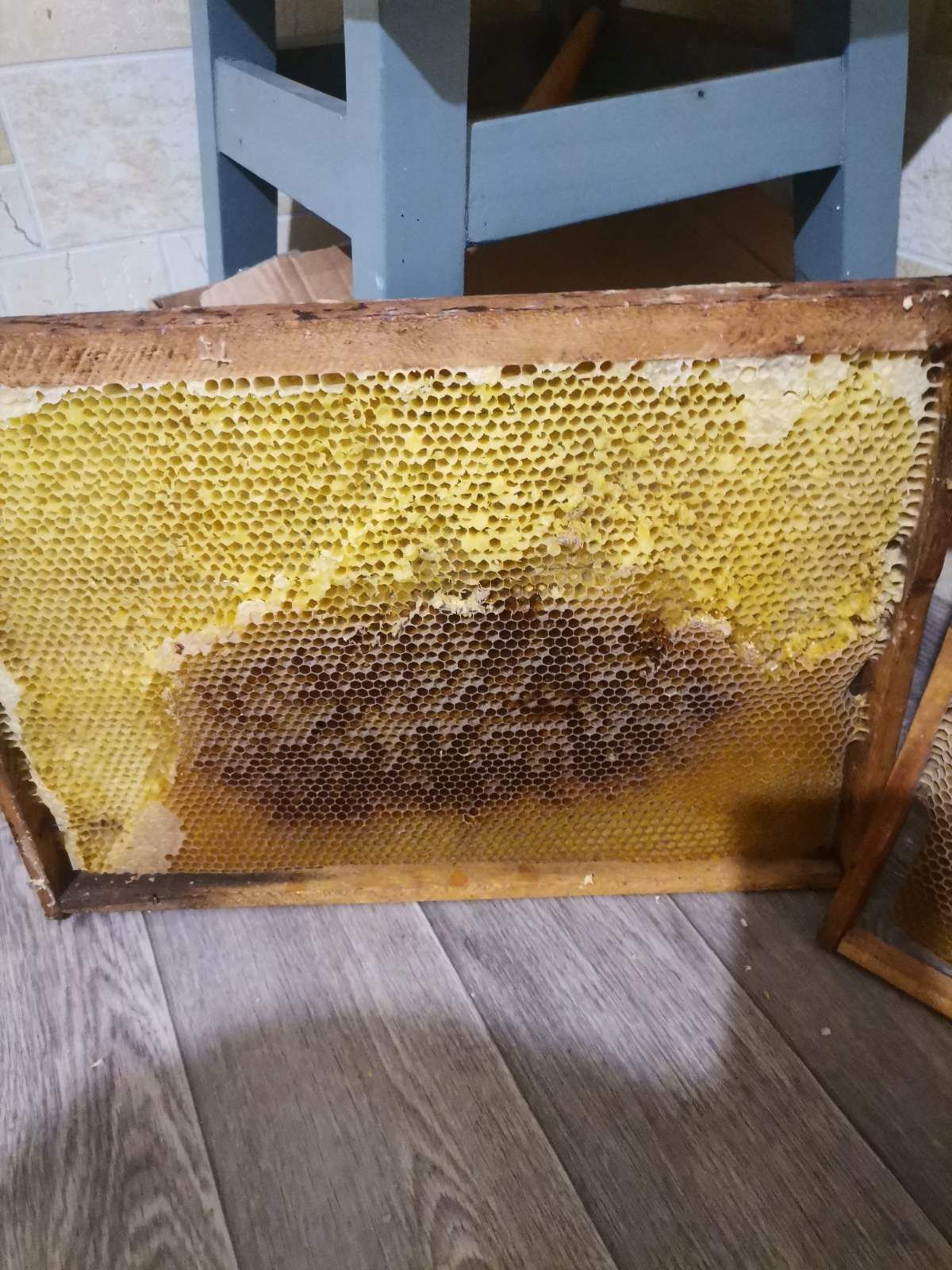 Продам сушь пчелиную