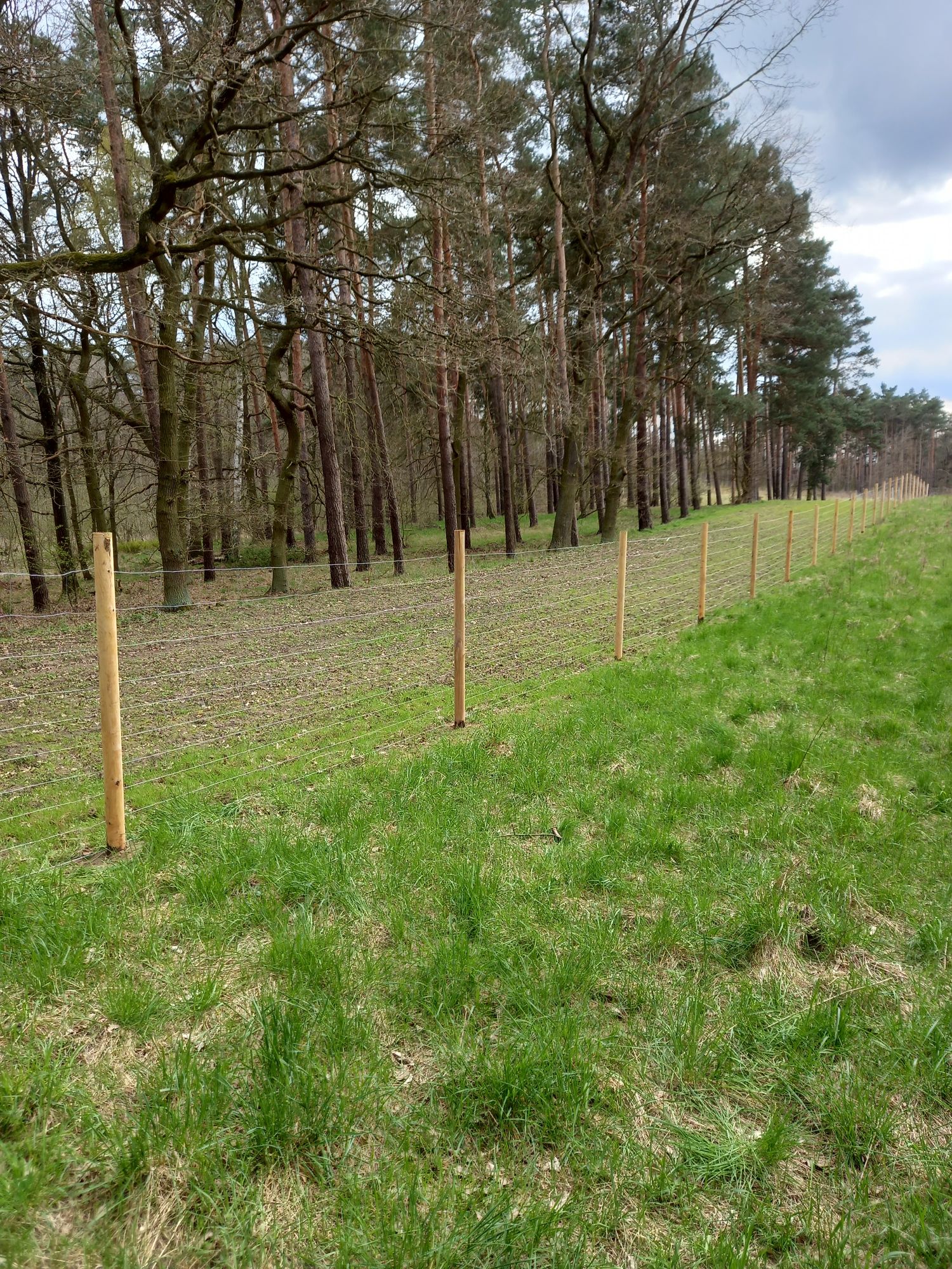 Ogrodzenie z siatki leśnej,ogrodzenie budowlane siatka lesna 15zł/mb