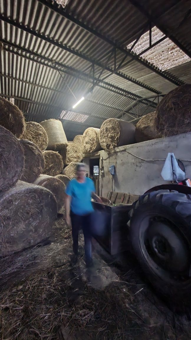 Fardos de palha em rolo NOVO PREÇO