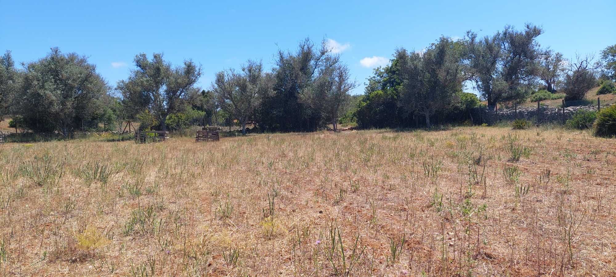 2Ha vedado, com furo, luz e água da rede