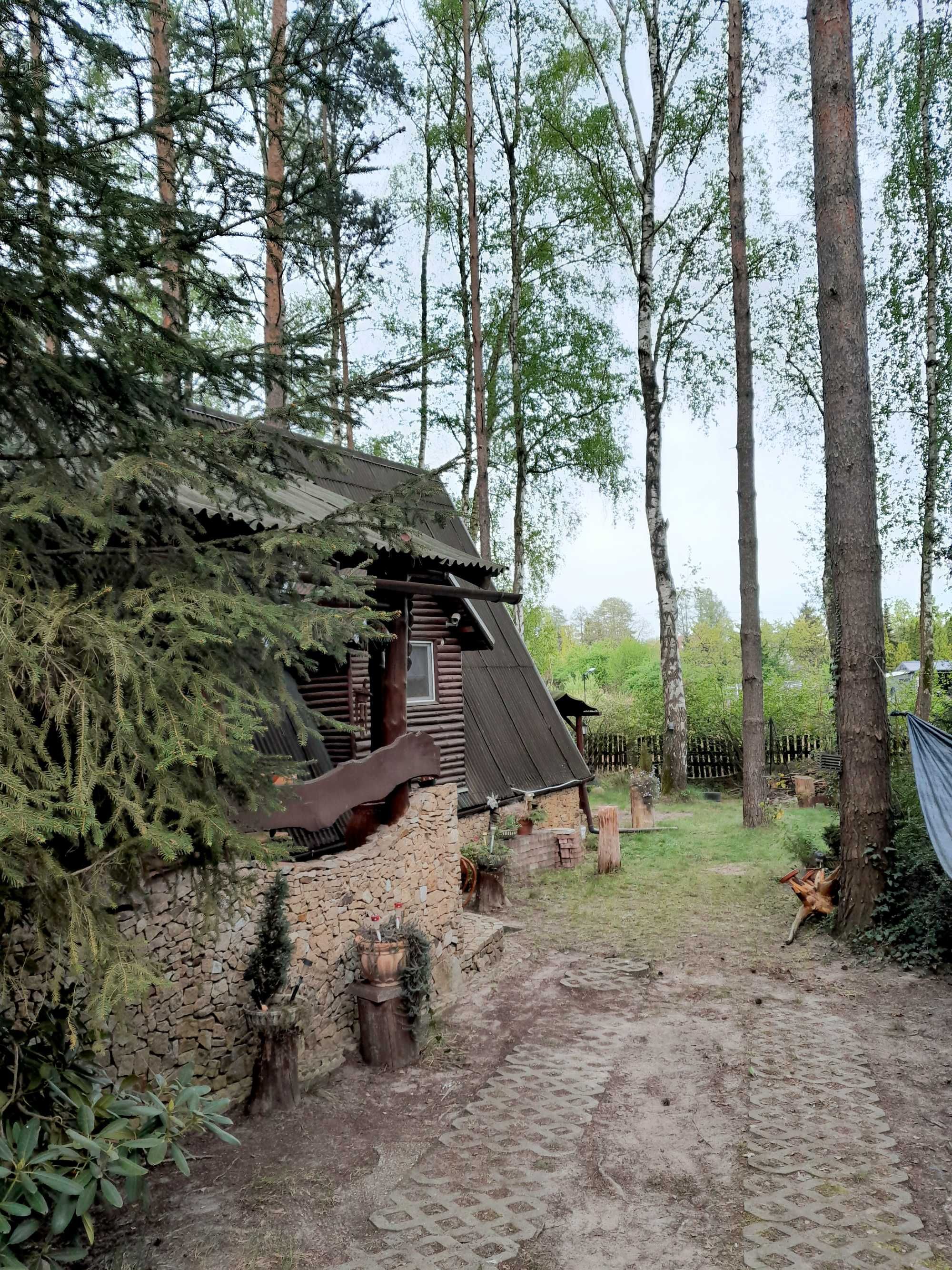 Radzyń Sława domek na wynajem Leśna Chatka na 8 osób Las Woda & Blues