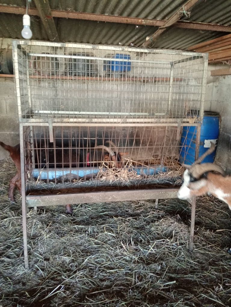 Vendo comedouro para cabras