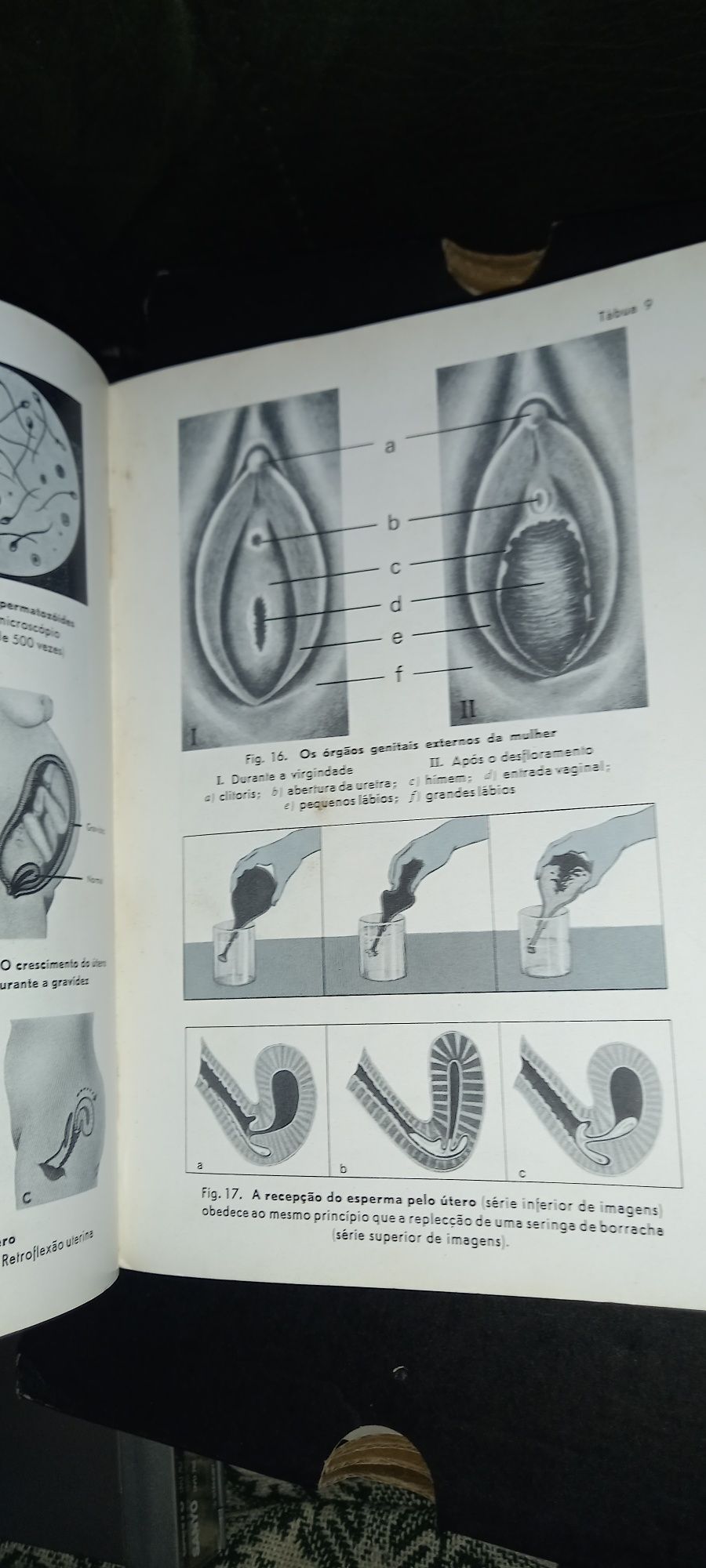 A nossa vida sexual, edi 1967