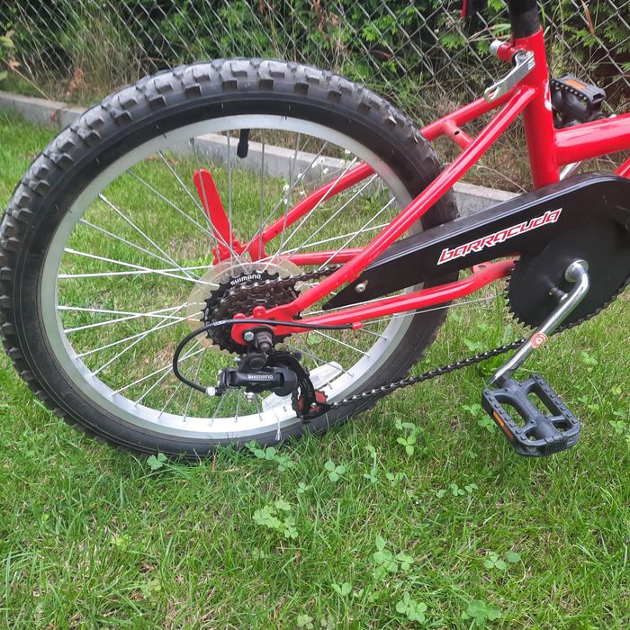 Doczepka, przyczepka rowerowa  Trail Buddy 20 cali