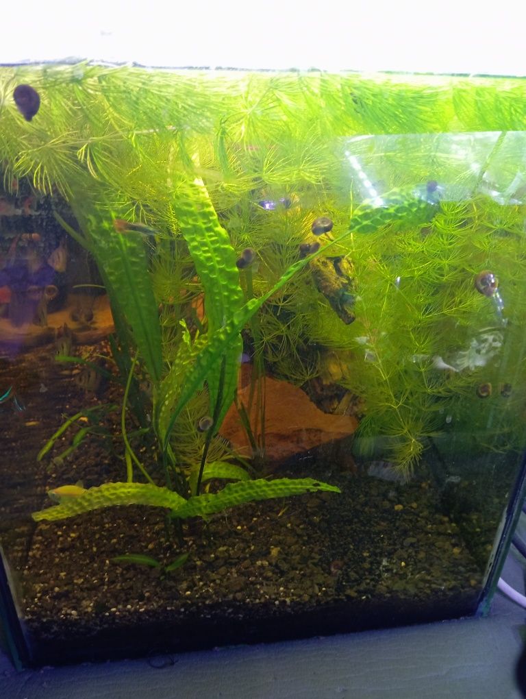 Sprzedam akwarium 112l