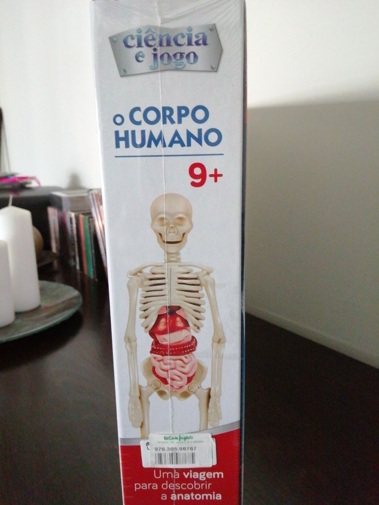 Jogo Lúdico O Corpo Humano