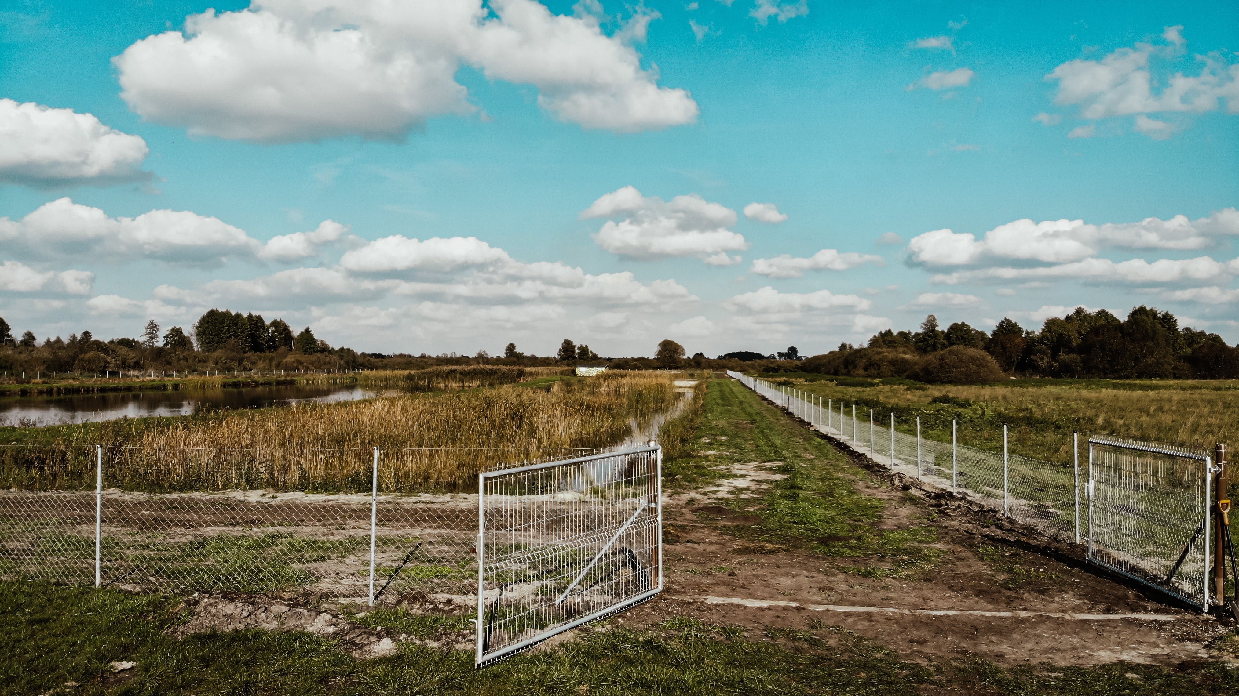 Stawy rybne, działki 3,7ha ogrodzone.