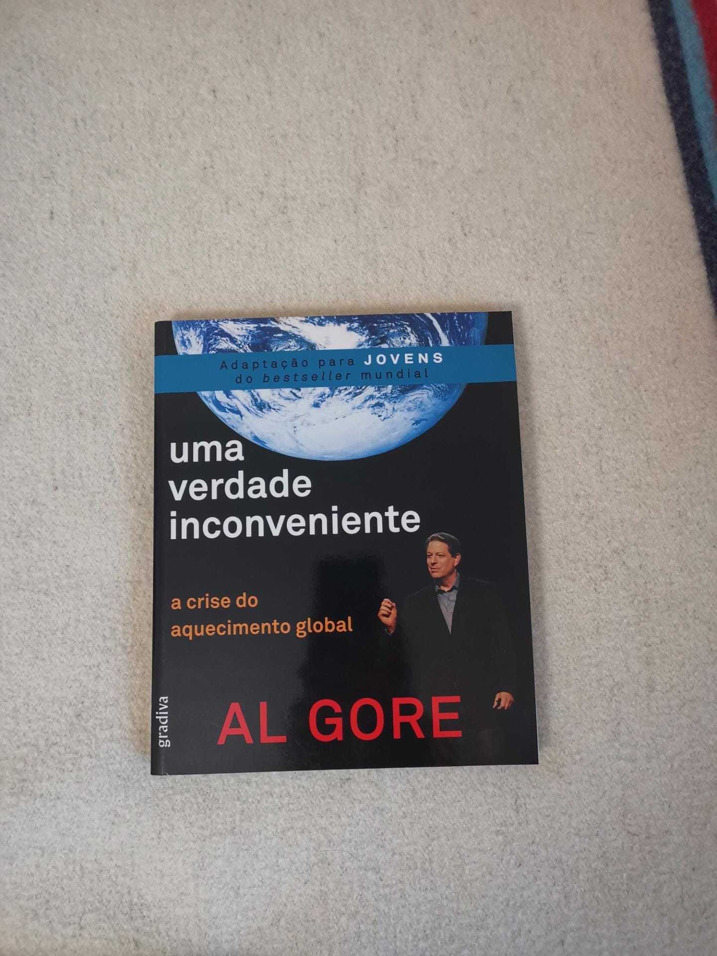 Livro Uma Verdade Inconveniente, Al Gore, ótimo estado