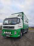 Volvo FM do żywca zwierząt