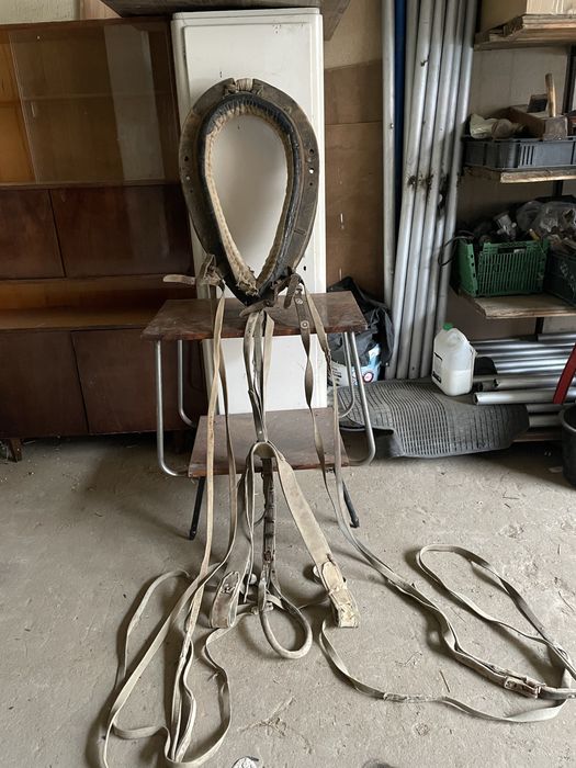 Osprzęt dla konia chomonta uzdy lejce