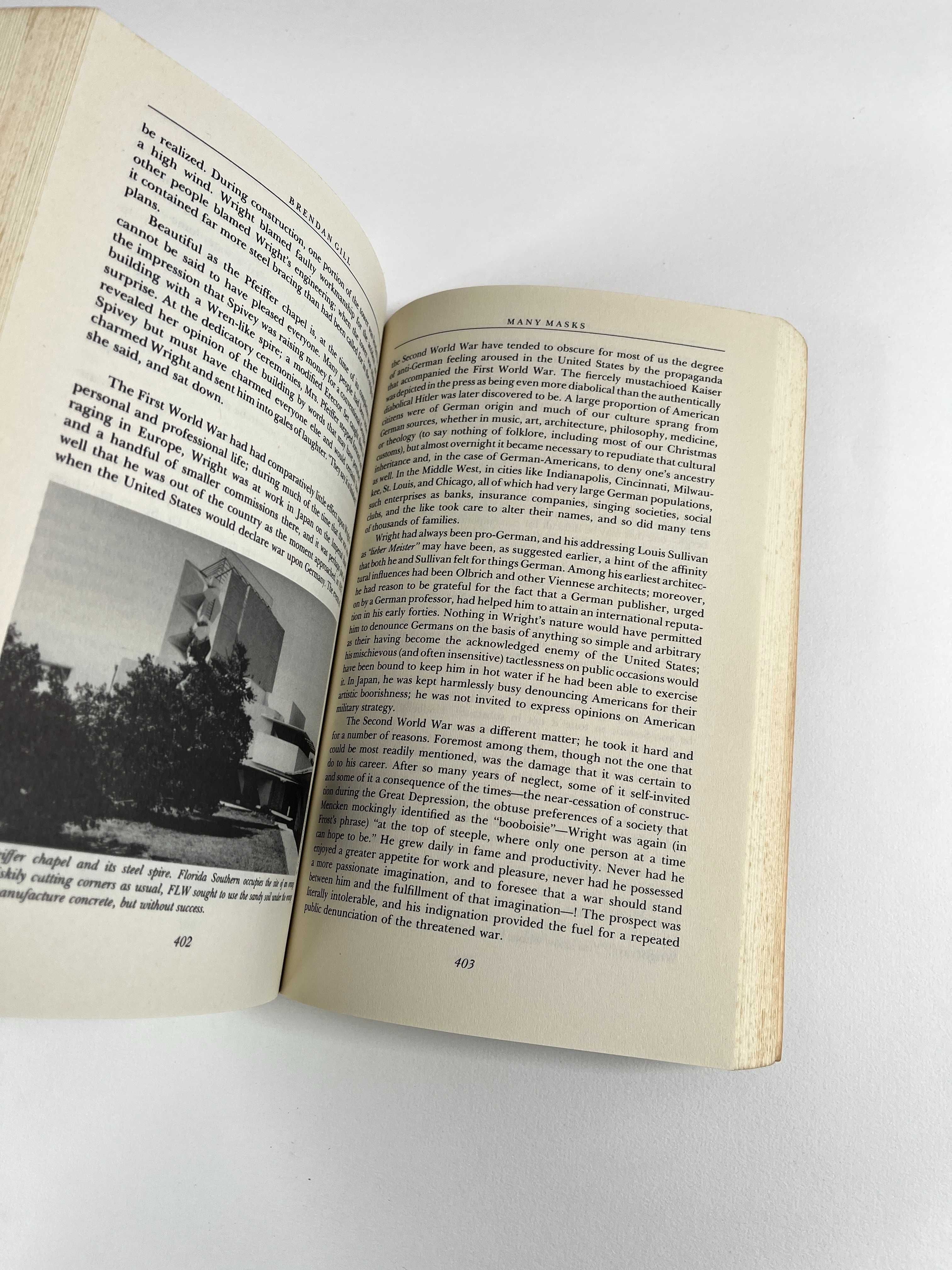 Many Masks a Life of Frank Lloyd Wright Brendan Gill Livro Arquitetura
