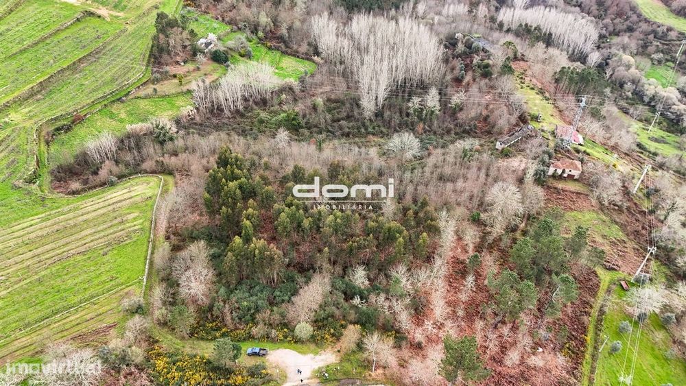 Terreno com grande potencial em Moçamedes , Vouzela