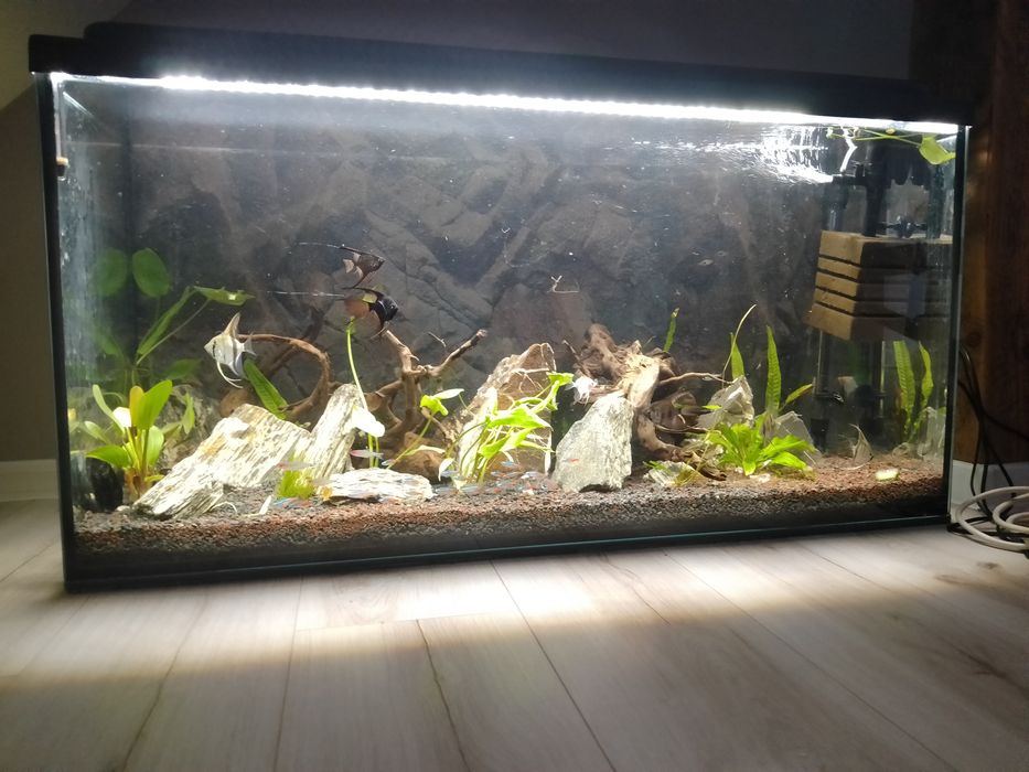Akwarium 200l + zestaw.