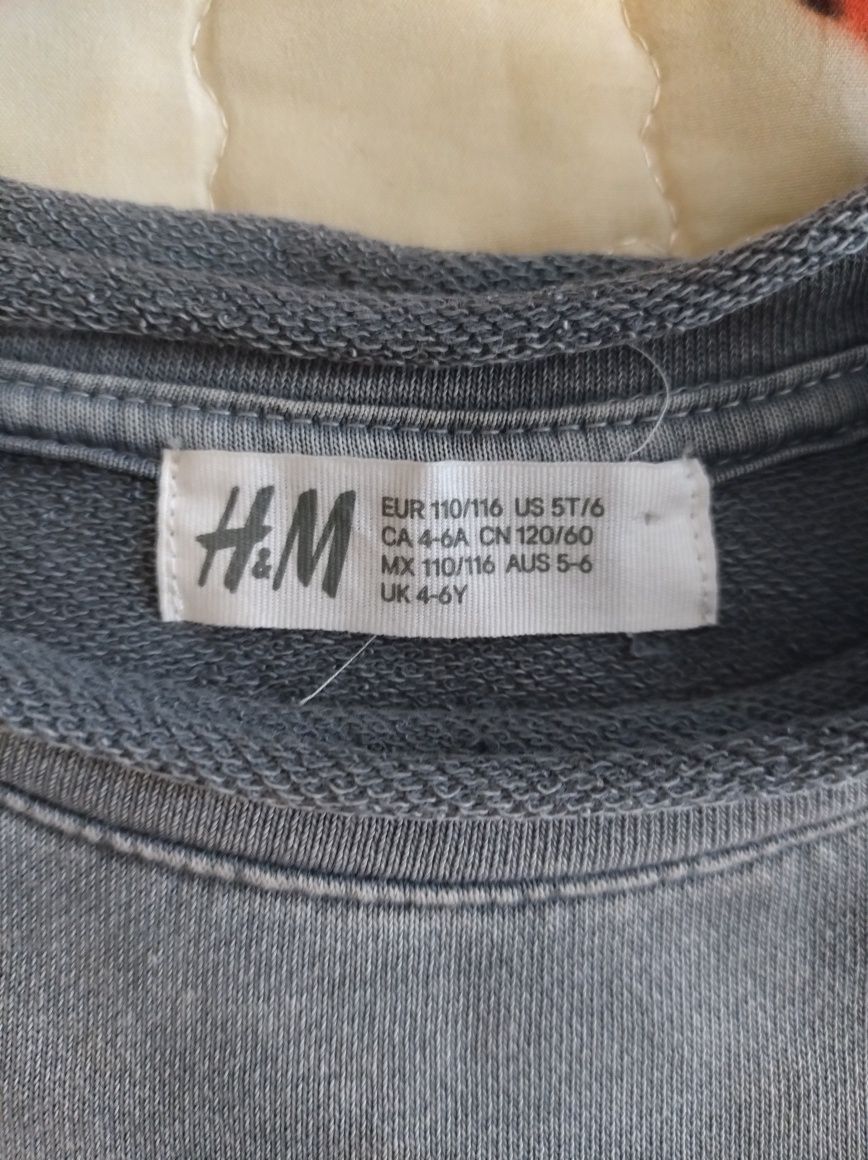 Bluza chłopięca H&M 110/116