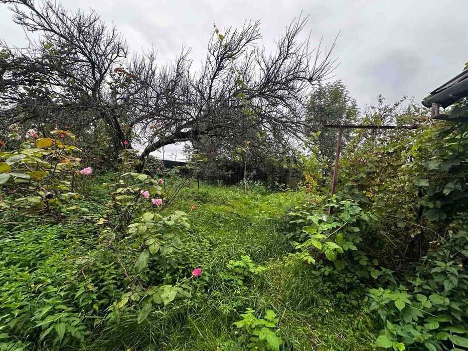 Продається будинок у Солотвино