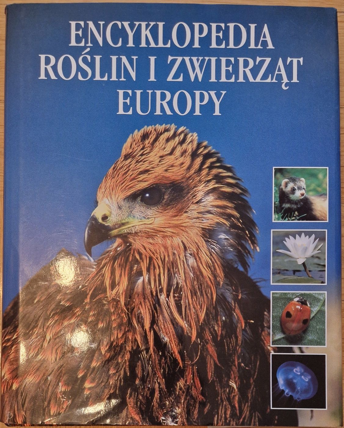 Encyklopedia roślin i zwierzat Europy. Papier kredowy,  stan bdb