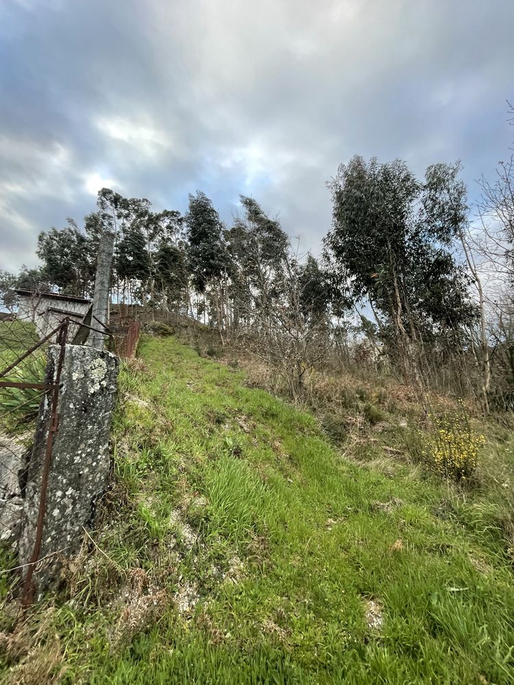 Terreno rustico